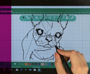 Tajima Writer Software